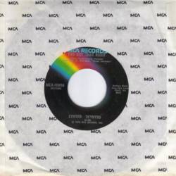 Lynyrd Skynyrd : You Got That Right - Ain't No Good Life